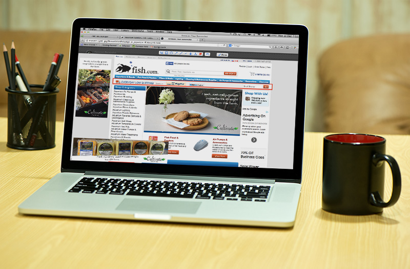 Web Ads 2